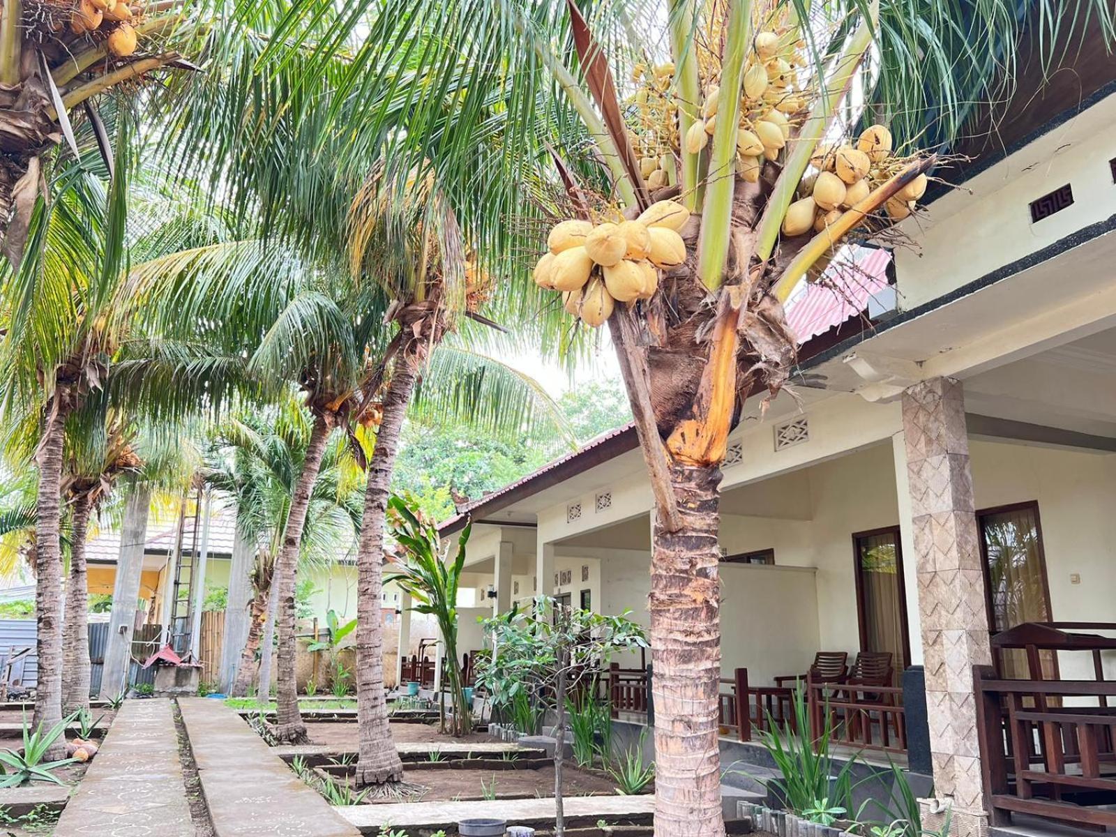 Bias Bungalows กิลิไอร์ ภายนอก รูปภาพ